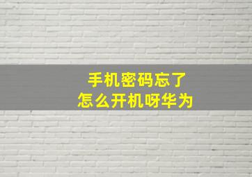 手机密码忘了怎么开机呀华为