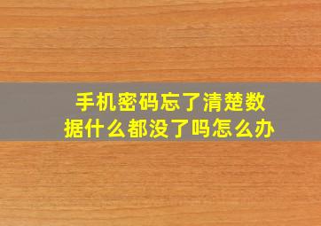 手机密码忘了清楚数据什么都没了吗怎么办