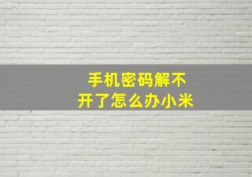 手机密码解不开了怎么办小米