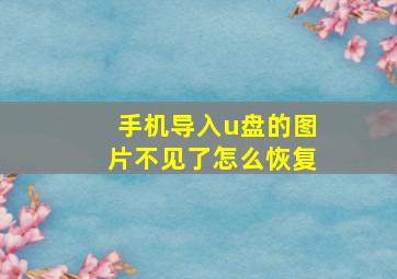 手机导入u盘的图片不见了怎么恢复