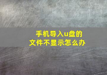 手机导入u盘的文件不显示怎么办