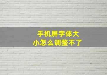 手机屏字体大小怎么调整不了