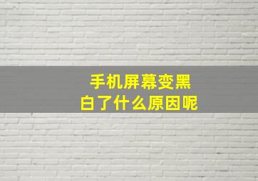 手机屏幕变黑白了什么原因呢