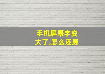 手机屏幕字变大了,怎么还原