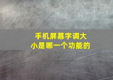 手机屏幕字调大小是哪一个功能的