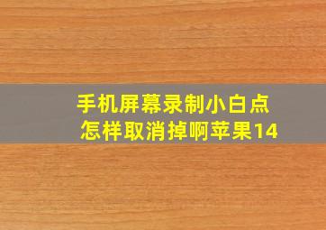 手机屏幕录制小白点怎样取消掉啊苹果14