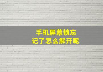 手机屏幕锁忘记了怎么解开呢