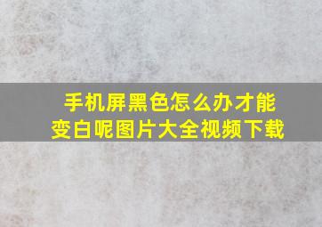 手机屏黑色怎么办才能变白呢图片大全视频下载