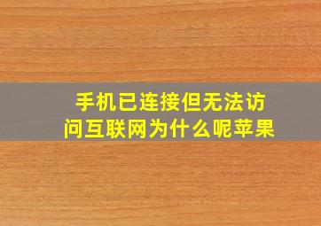 手机已连接但无法访问互联网为什么呢苹果