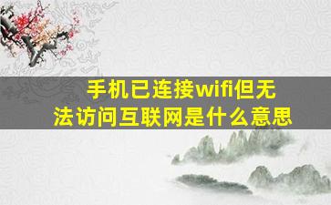 手机已连接wifi但无法访问互联网是什么意思