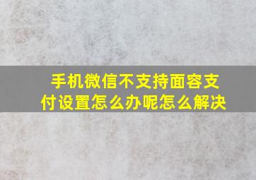 手机微信不支持面容支付设置怎么办呢怎么解决