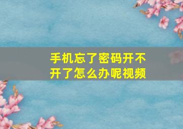 手机忘了密码开不开了怎么办呢视频