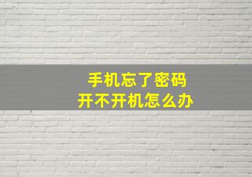 手机忘了密码开不开机怎么办