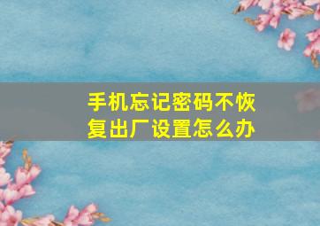 手机忘记密码不恢复出厂设置怎么办