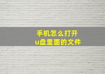 手机怎么打开u盘里面的文件