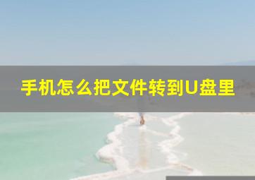 手机怎么把文件转到U盘里