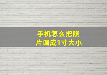 手机怎么把照片调成1寸大小