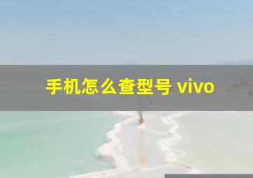 手机怎么查型号 vivo