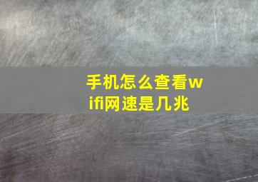 手机怎么查看wifi网速是几兆