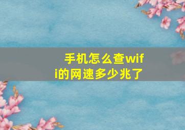 手机怎么查wifi的网速多少兆了