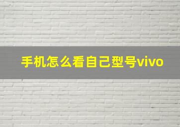 手机怎么看自己型号vivo