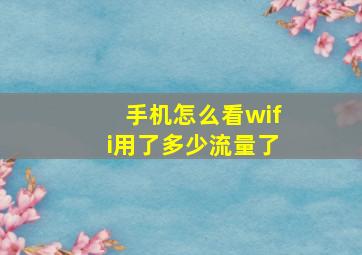 手机怎么看wifi用了多少流量了