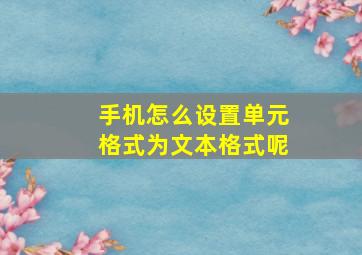 手机怎么设置单元格式为文本格式呢