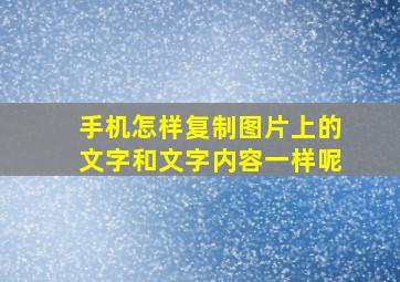 手机怎样复制图片上的文字和文字内容一样呢