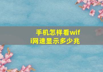 手机怎样看wifi网速显示多少兆