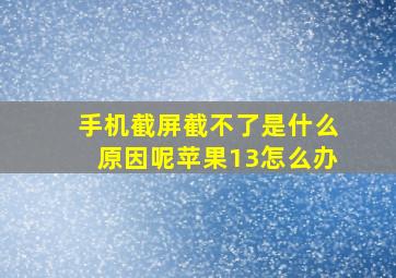 手机截屏截不了是什么原因呢苹果13怎么办