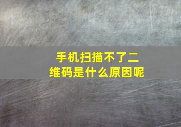 手机扫描不了二维码是什么原因呢