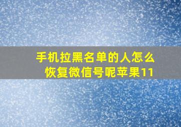 手机拉黑名单的人怎么恢复微信号呢苹果11