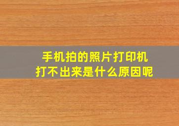 手机拍的照片打印机打不出来是什么原因呢