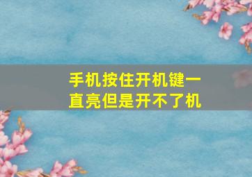 手机按住开机键一直亮但是开不了机