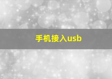 手机接入usb