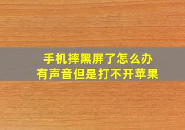 手机摔黑屏了怎么办有声音但是打不开苹果