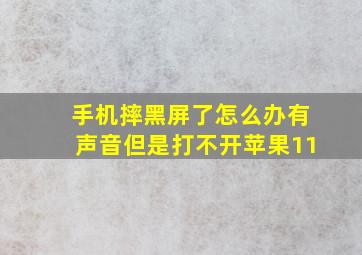 手机摔黑屏了怎么办有声音但是打不开苹果11