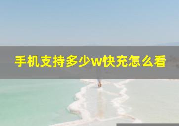 手机支持多少w快充怎么看