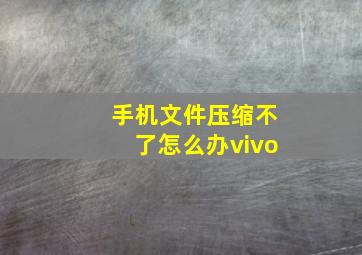 手机文件压缩不了怎么办vivo