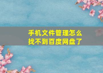 手机文件管理怎么找不到百度网盘了