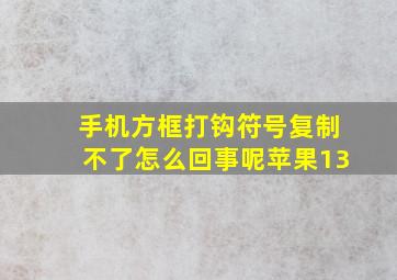 手机方框打钩符号复制不了怎么回事呢苹果13