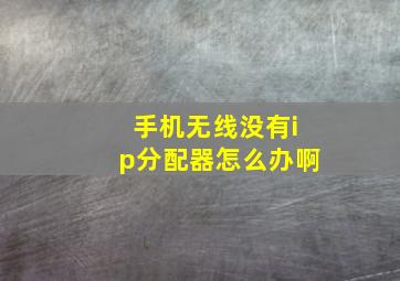 手机无线没有ip分配器怎么办啊