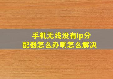 手机无线没有ip分配器怎么办啊怎么解决