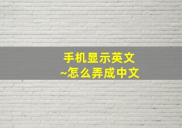 手机显示英文~怎么弄成中文