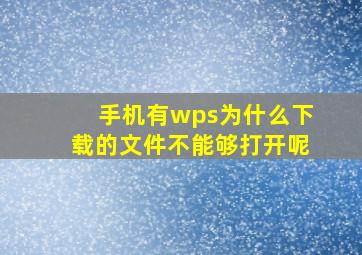 手机有wps为什么下载的文件不能够打开呢