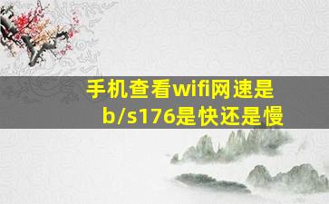 手机查看wifi网速是b/s176是快还是慢