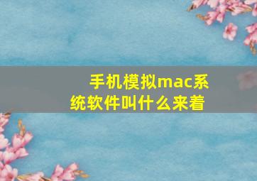 手机模拟mac系统软件叫什么来着