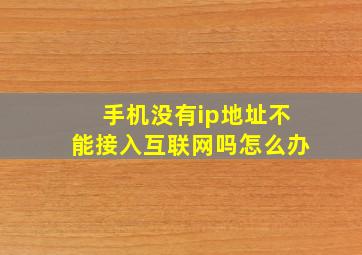 手机没有ip地址不能接入互联网吗怎么办