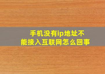 手机没有ip地址不能接入互联网怎么回事