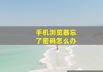 手机浏览器忘了密码怎么办